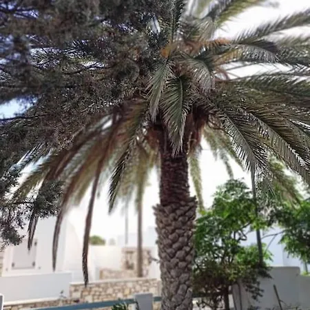 Paros Seaside Experience *