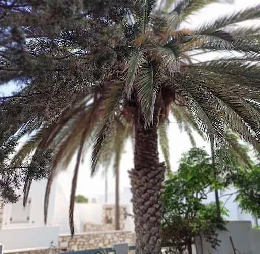 Paros Seaside Experience *